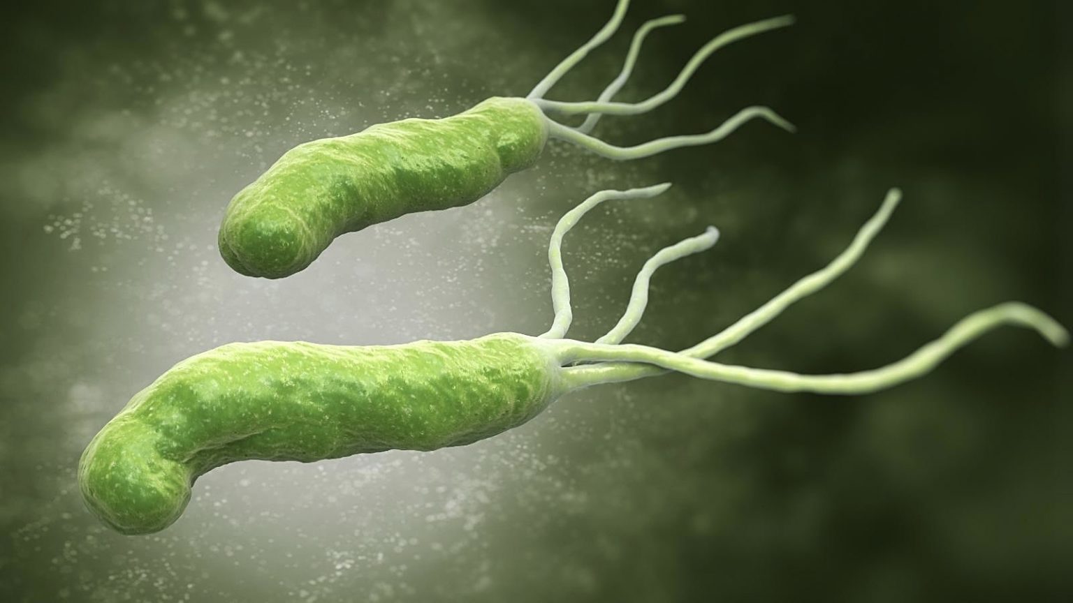 Helicobacter pylori &ndash; Rengeteg az &eacute;rintett, de csak kevesen tudnak r&oacute;la